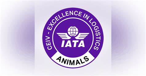 AMBIL SEKARANG