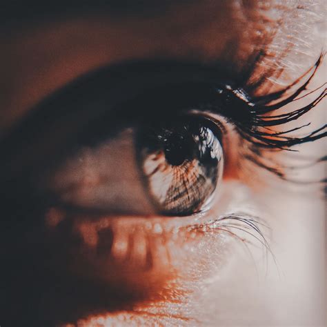 Download wallpaper 2780x2780 eyes, eyelashes, pupil ipad air, ipad air ...