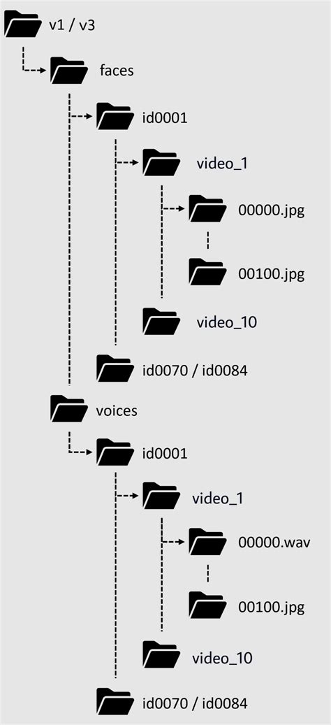 Dataset Example 的图像结果