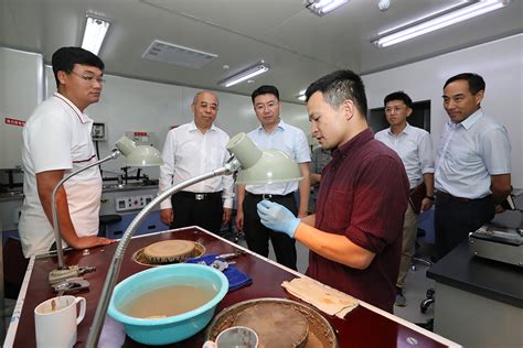 打造行业样板 纬湃科技天津实验室开业提升电动出行高质量发展_新能源资讯_新能源网