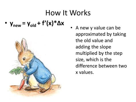 Euler Method Tutorial 的图像结果