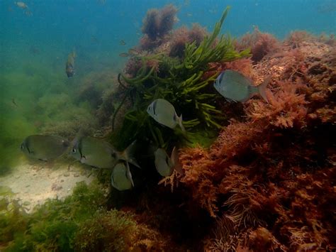 WIND CENTRO DE ATIVIDADES DE MONTANHA (2025) All You Need to Know ...