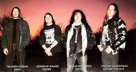 Image result for Dissect