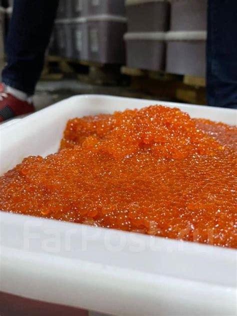 Икра Кеты, Горбуши, Нерки, Кижуча, Чавычи от производителя 2024 года, в ...