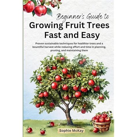 Apple Tree Pruning Guide 的图像结果