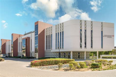 Business College 的图像结果