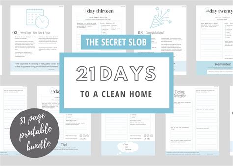 Secret Slob Declutter 的图像结果