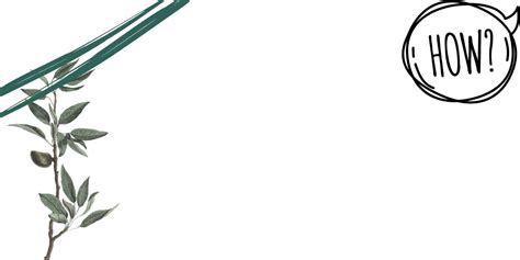 Image result for Vibe Videotutorial