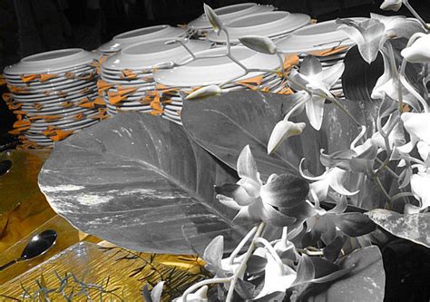 Kwizine- Gourmet food at your doorstep