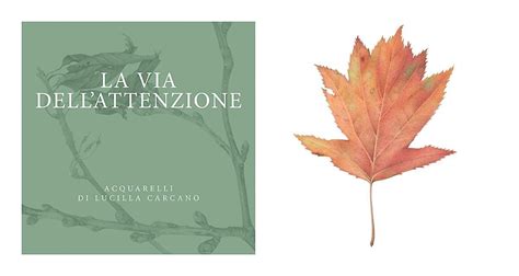 LA VIA DELLATTENZIONE acquerelli di Lucilla Carcano, Spazio Arti ...