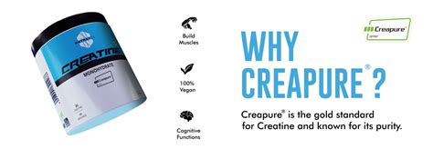 Nutrabox Creatine Monohydrate Supplements made with Creapure® (300g ...