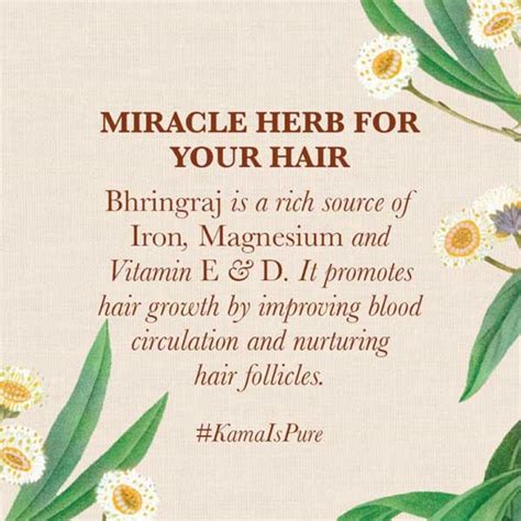 6 Best Non-Toxic Chemical Free Shampoos For Your Hair - Kama Ayurveda