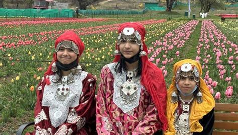 Jammu And Kashmir: Asia’s Largest Tulip Garden Opens For Public In ...