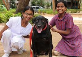 Alternate Schooling : Dr.Dog in Chennai,Minimal Brain Dysfunction