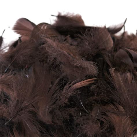 Daedal dream catchers Chocolate Brown Feather - Pack of Eight (370-400 ...