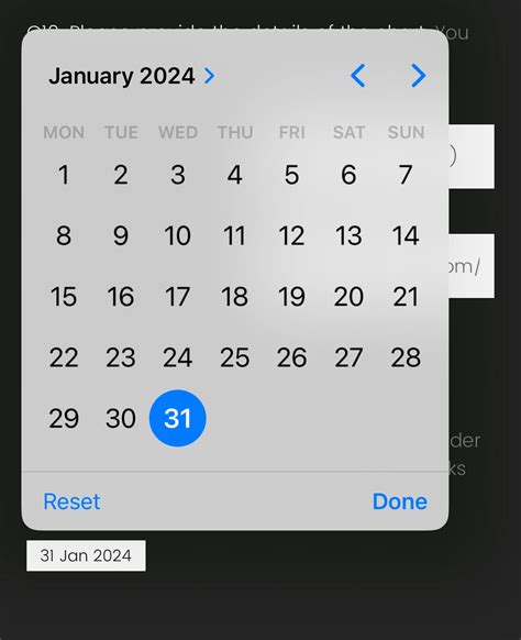 HTML Date PICKER 的图像结果