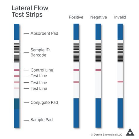 Lateral Flow Test Tutorial 的图像结果