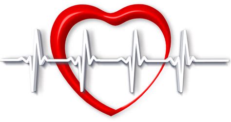 Escucha a tu corazón: la variabilidad de la frecuencia cardíaca - FEDA
