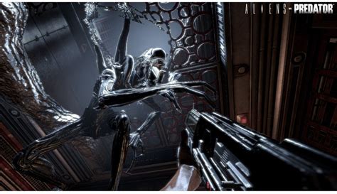 Alien Vs Predator 3 Gameplay 的图像结果