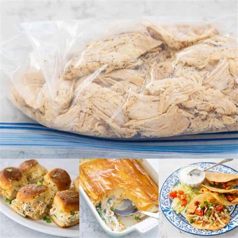50 Quick Shredded Chicken Recipes - Peanut Blossom