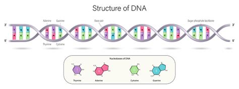 Image result for DNA Microarray Data