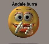 Image result for Model Tree Tutorials