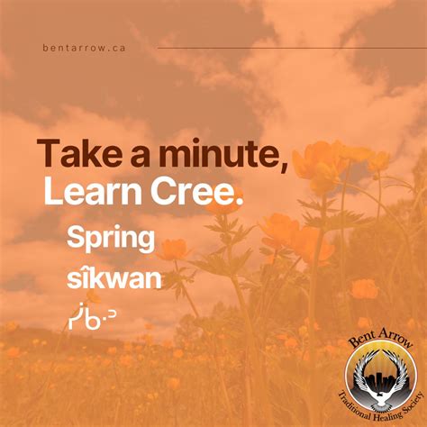 Chantelle Painter, RPR, MBA posted on LinkedIn