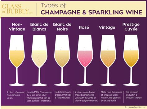 Types of Champagne & Sparkling Wine | Blanc de noir, Wine, Vinos
