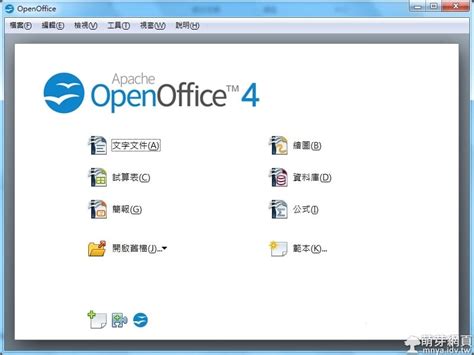 OpenOffice Word 的图像结果