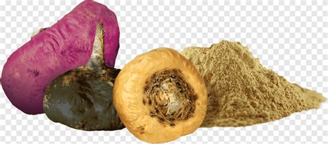 Image result for Maca Root PNG