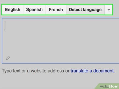 Image result for How to Set Detect Language in Google Translate