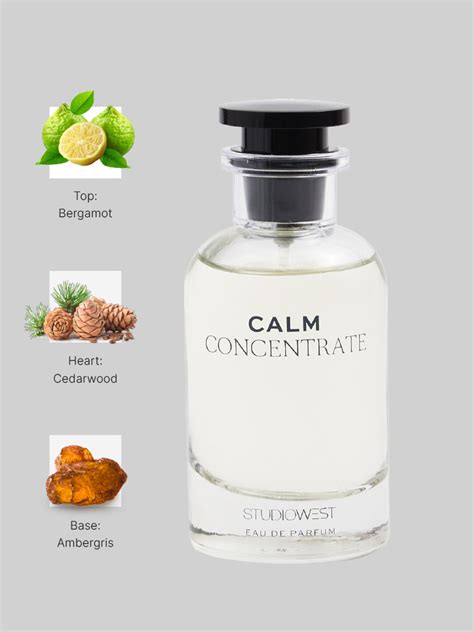 Buy Studiowest Emotions Calm Concentrate Eau De Parfum - 100 ML from ...