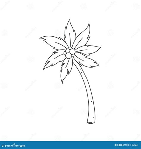 Palm Outline Vector Sketch Hand Drawn Botanical Illustration. Tropic ...