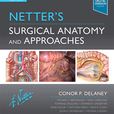 Netter's Surgical Anatomy and Approaches, 2e