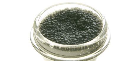 Beluga Caviar | Local Caviar From Russia, Eastern Europe