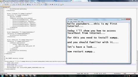 Access Localhost 的图像结果