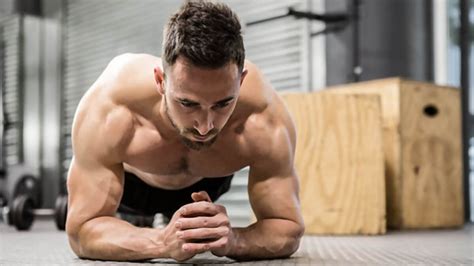 Perbedaan Bulu dan Rambut Menurut Ahli - Kerajaan Biologi