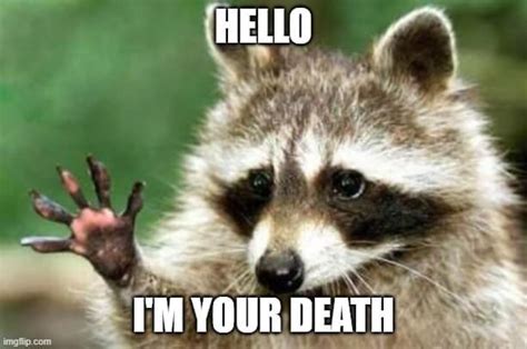 Image result for Hello Its MeMeMe