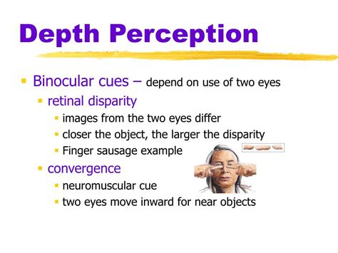 Image result for Depth Perception Meaning