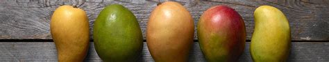 Image result for Mango Types Mango Varieties
