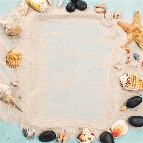 Frame van zeester en schelpen | Gratis Foto