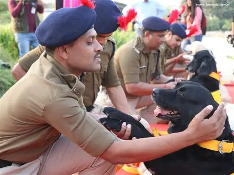 Meerut to have war memorial for animals - What makes it unique? | The ...
