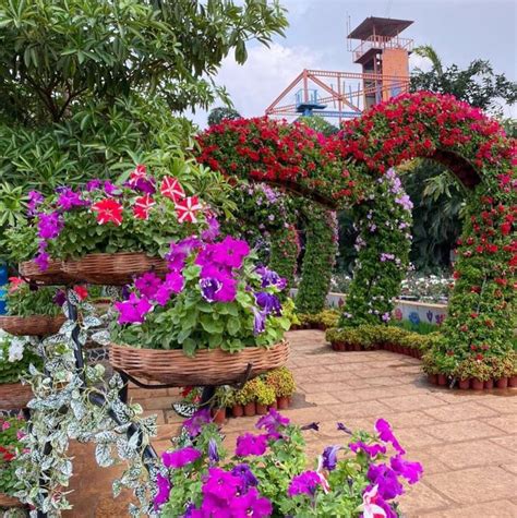 ये तस्वीरें देखकर क्या आप विश्वास कर पाएंगे कि यह एक वाटरपार्क था, आज ...