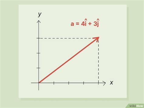 Image result for Unit Vector Examples