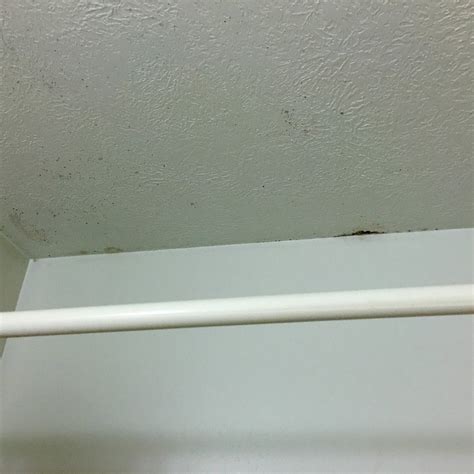 MIDLANDS LODGE (Hastings) - Motel Reviews, Photos, Rate Comparison ...