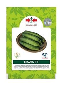 East-West Seed International Nazia F1 300 seeds Cucumber Seeds, Hybrid ...