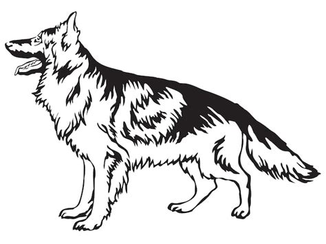 Decoratief portret van staande in profiel langharige Duitse herder ...