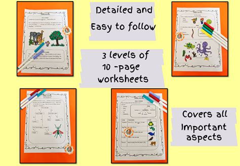 Image result for Classification Living Things Worksheet