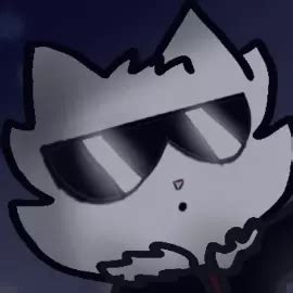 Image result for Shog Stack Overflow