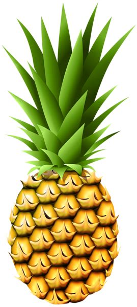 Pineapple Hub Script Pastebin 的图像结果